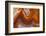 Fortifications Crazy Lace Agate-Darrell Gulin-Framed Photographic Print