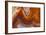 Fortifications Crazy Lace Agate-Darrell Gulin-Framed Photographic Print