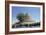 Fortified dwelling, al-'Ain oasis-Werner Forman-Framed Giclee Print