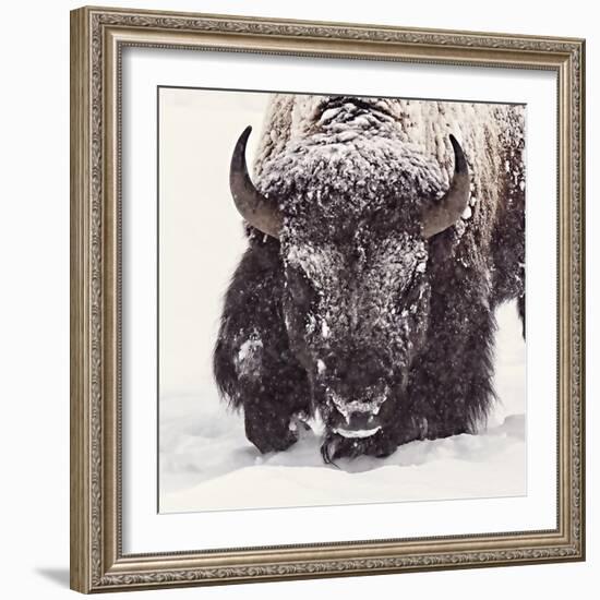 Fortitude-Wink Gaines-Framed Giclee Print