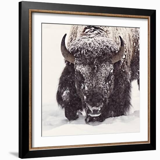 Fortitude-Wink Gaines-Framed Giclee Print