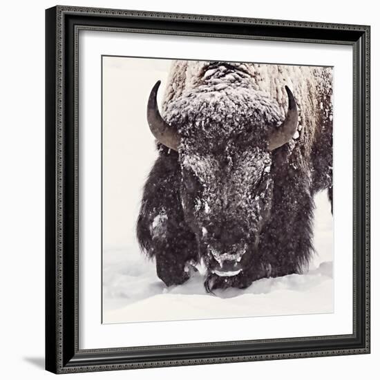 Fortitude-Wink Gaines-Framed Giclee Print