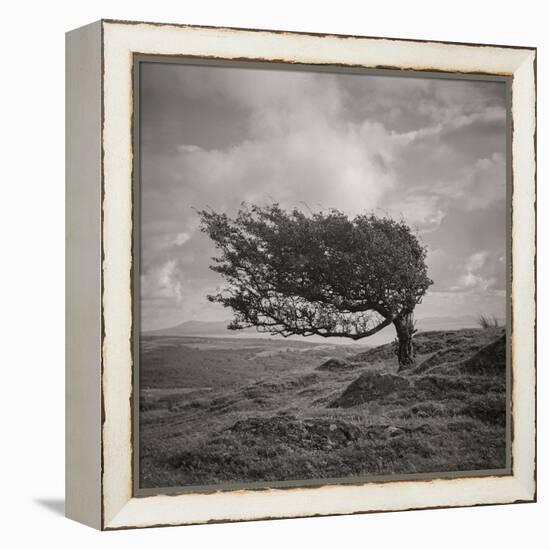 Fortitude-Doug Chinnery-Framed Premier Image Canvas