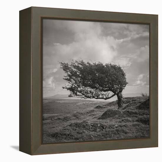 Fortitude-Doug Chinnery-Framed Premier Image Canvas