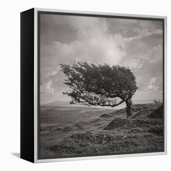 Fortitude-Doug Chinnery-Framed Premier Image Canvas