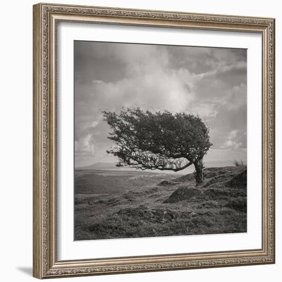 Fortitude-Doug Chinnery-Framed Photographic Print