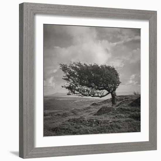 Fortitude-Doug Chinnery-Framed Photographic Print