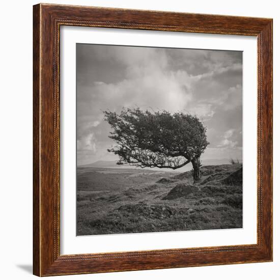 Fortitude-Doug Chinnery-Framed Photographic Print