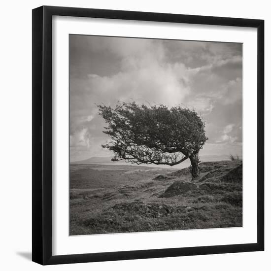 Fortitude-Doug Chinnery-Framed Photographic Print