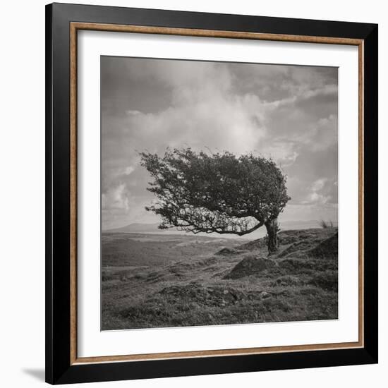 Fortitude-Doug Chinnery-Framed Photographic Print