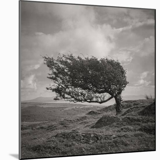 Fortitude-Doug Chinnery-Mounted Photographic Print