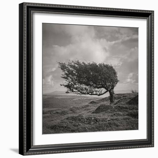 Fortitude-Doug Chinnery-Framed Photographic Print