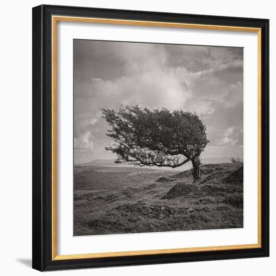 Fortitude-Doug Chinnery-Framed Photographic Print