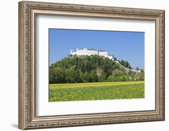 Fortress Hohensalzburg, Salzburg, Salzburger Land, Austria, Europe-Markus Lange-Framed Photographic Print