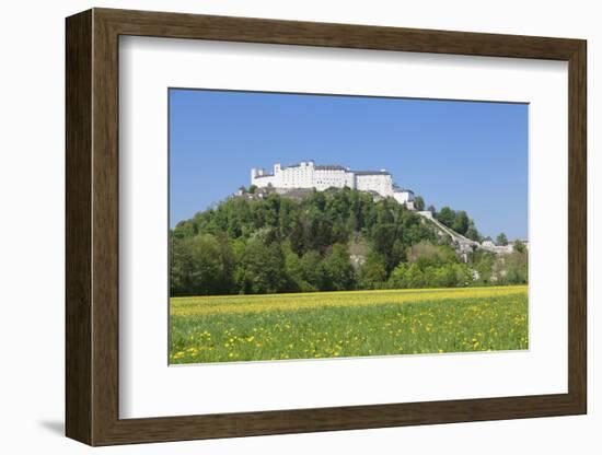 Fortress Hohensalzburg, Salzburg, Salzburger Land, Austria, Europe-Markus Lange-Framed Photographic Print