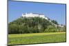 Fortress Hohensalzburg, Salzburg, Salzburger Land, Austria, Europe-Markus Lange-Mounted Photographic Print