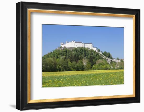 Fortress Hohensalzburg, Salzburg, Salzburger Land, Austria, Europe-Markus Lange-Framed Photographic Print