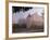 Fortress Marienberg in the Fog, WŸrzburg (City), Bavaria, Germany)-Rainer Mirau-Framed Photographic Print