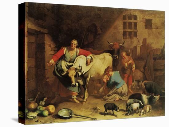 Stretched Canvas Print, , large