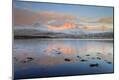 Photographic Print