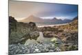 Photographic Print