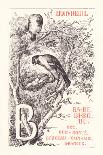 B: BA BE BI BO BU - Bullfinch - Beak - Wood - Bonte - Cradle - Happiness — Branch,1879 (Engraving)-Fortune Louis Meaulle-Giclee Print