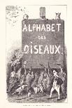 T: TA TE TI TO TU - Theater - Toucan - Tetras - Tantalus - Trichoglosse - Tabarin — Talent — Tour —-Fortune Louis Meaulle-Giclee Print