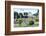 Forum of Nerva, Roman Forum (Foro Romano), UNESCO World Heritage Site, Rome, Lazio, Italy, Europe-Nico Tondini-Framed Photographic Print