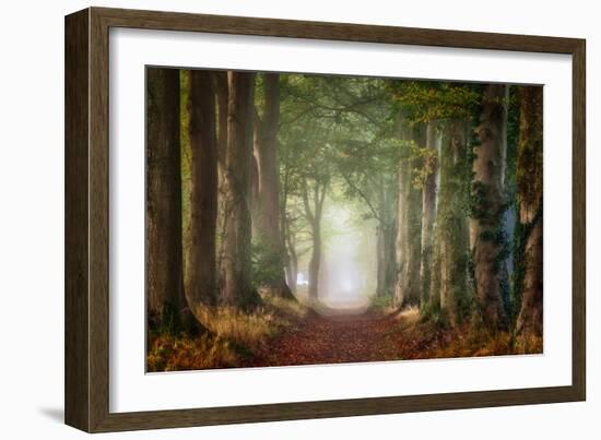 Forward-Ellen Borggreve-Framed Photographic Print