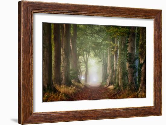 Forward-Ellen Borggreve-Framed Photographic Print