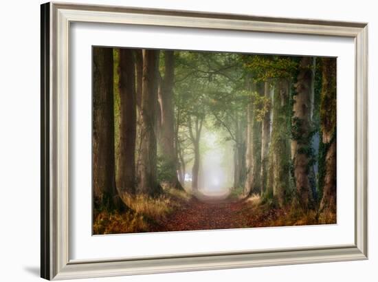 Forward-Ellen Borggreve-Framed Photographic Print