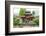 Foshan Ancestral Temple, Foshan, China-Stuart Westmorland-Framed Photographic Print