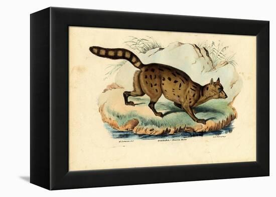 Fossa, 1863-79-Raimundo Petraroja-Framed Premier Image Canvas