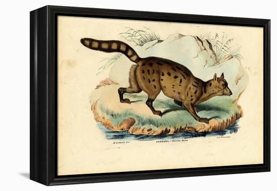 Fossa, 1863-79-Raimundo Petraroja-Framed Premier Image Canvas