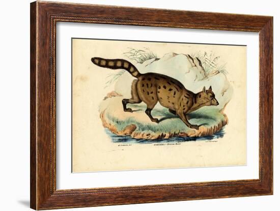 Fossa, 1863-79-Raimundo Petraroja-Framed Giclee Print