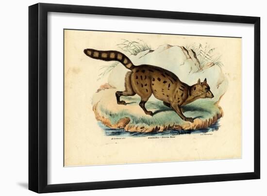 Fossa, 1863-79-Raimundo Petraroja-Framed Giclee Print