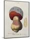 Premium Giclee Print