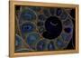 Fossil ammonite under UV light, Madagascar-John Cancalosi-Framed Premier Image Canvas