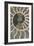 Fossil Ammonite-null-Framed Photographic Print