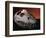 Fossil Crocodile Skull-Layne Kennedy-Framed Photographic Print