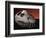 Fossil Crocodile Skull-Layne Kennedy-Framed Photographic Print