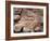 Fossil Dinosaur Footprint Near Tuba City, Arizona-null-Framed Photographic Print