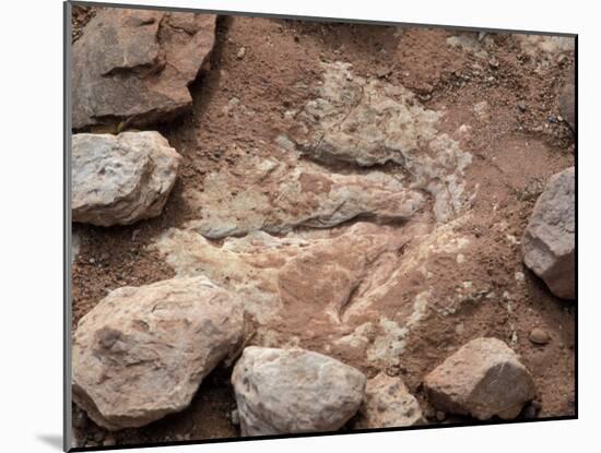 Fossil Dinosaur Footprint Near Tuba City, Arizona-null-Mounted Photographic Print