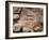 Fossil Dinosaur Footprint Near Tuba City, Arizona-null-Framed Photographic Print