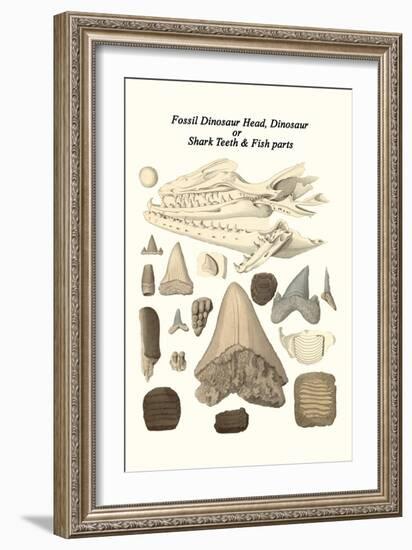 Fossil Dinosaur Head, Dinosaur or Shark Teeth and Fish Parts-James Parkinson-Framed Art Print