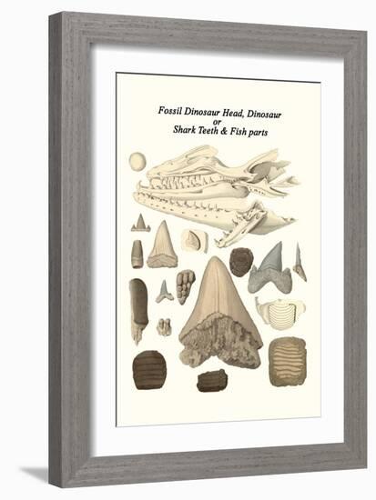 Fossil Dinosaur Head, Dinosaur or Shark Teeth and Fish Parts-James Parkinson-Framed Art Print