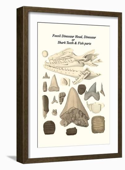 Fossil Dinosaur Head, Dinosaur or Shark Teeth and Fish Parts-James Parkinson-Framed Art Print