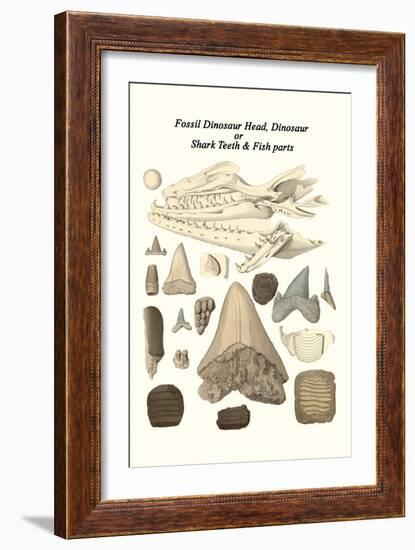 Fossil Dinosaur Head, Dinosaur or Shark Teeth and Fish Parts-James Parkinson-Framed Art Print