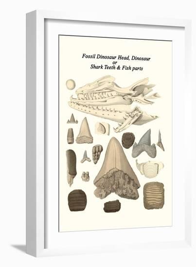 Fossil Dinosaur Head, Dinosaur or Shark Teeth and Fish Parts-James Parkinson-Framed Art Print