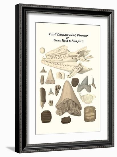 Fossil Dinosaur Head, Dinosaur or Shark Teeth and Fish Parts-James Parkinson-Framed Art Print